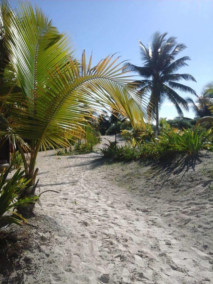Hotel Zazil Kin Tulum Eksteriør billede